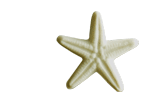 Sea Star Large Pin, Porcelain Angels and Ornaments - Margaret Furlong Designs 2008